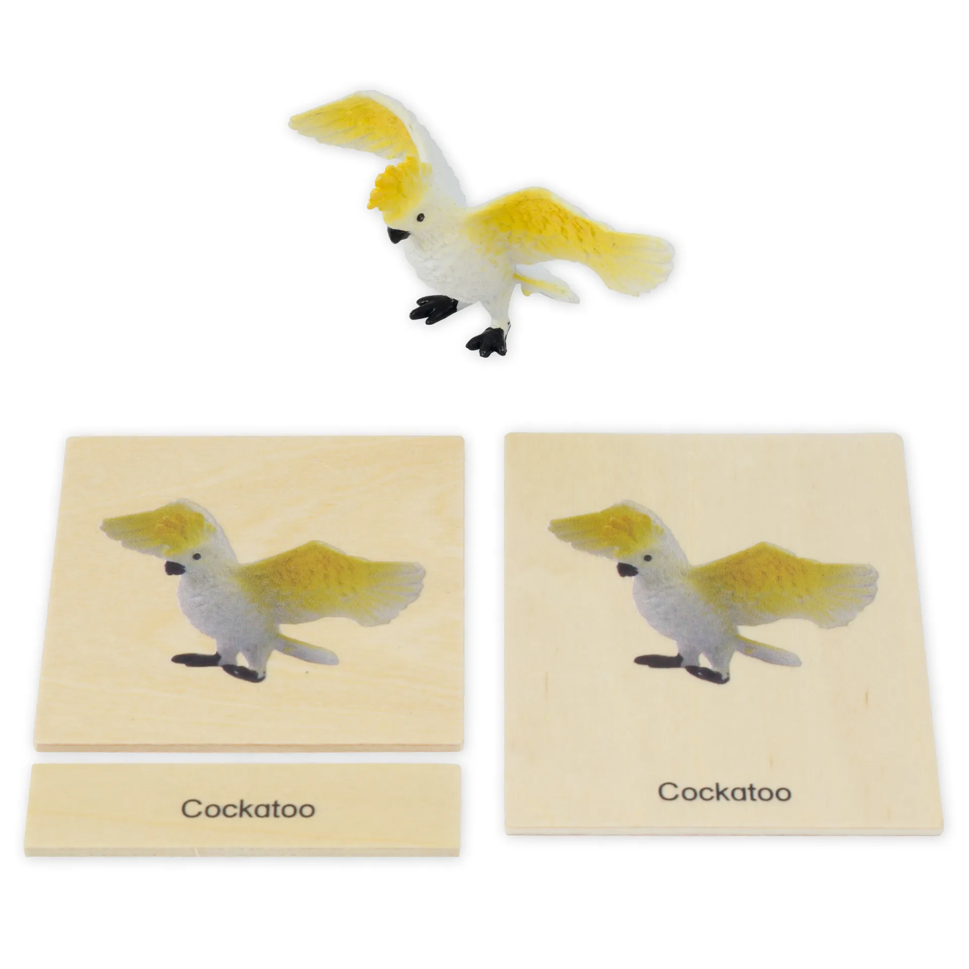 TimeTEX Mini-Tier-Set Australasien "Montessori Premium"