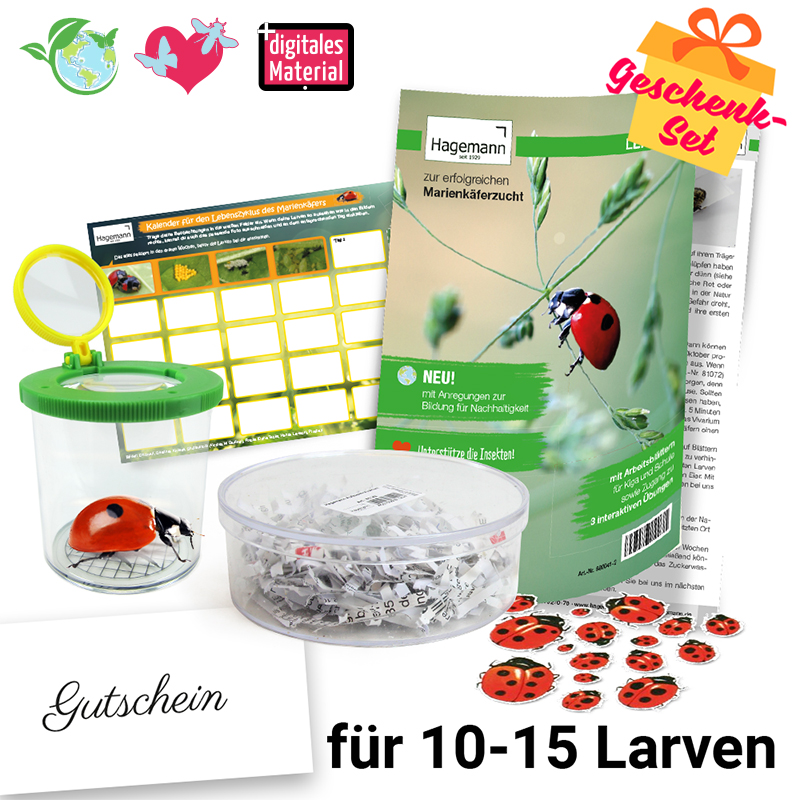 Hagemann Marienkäfer Zuchtset (mit Gutschein, 10-15 Larven)