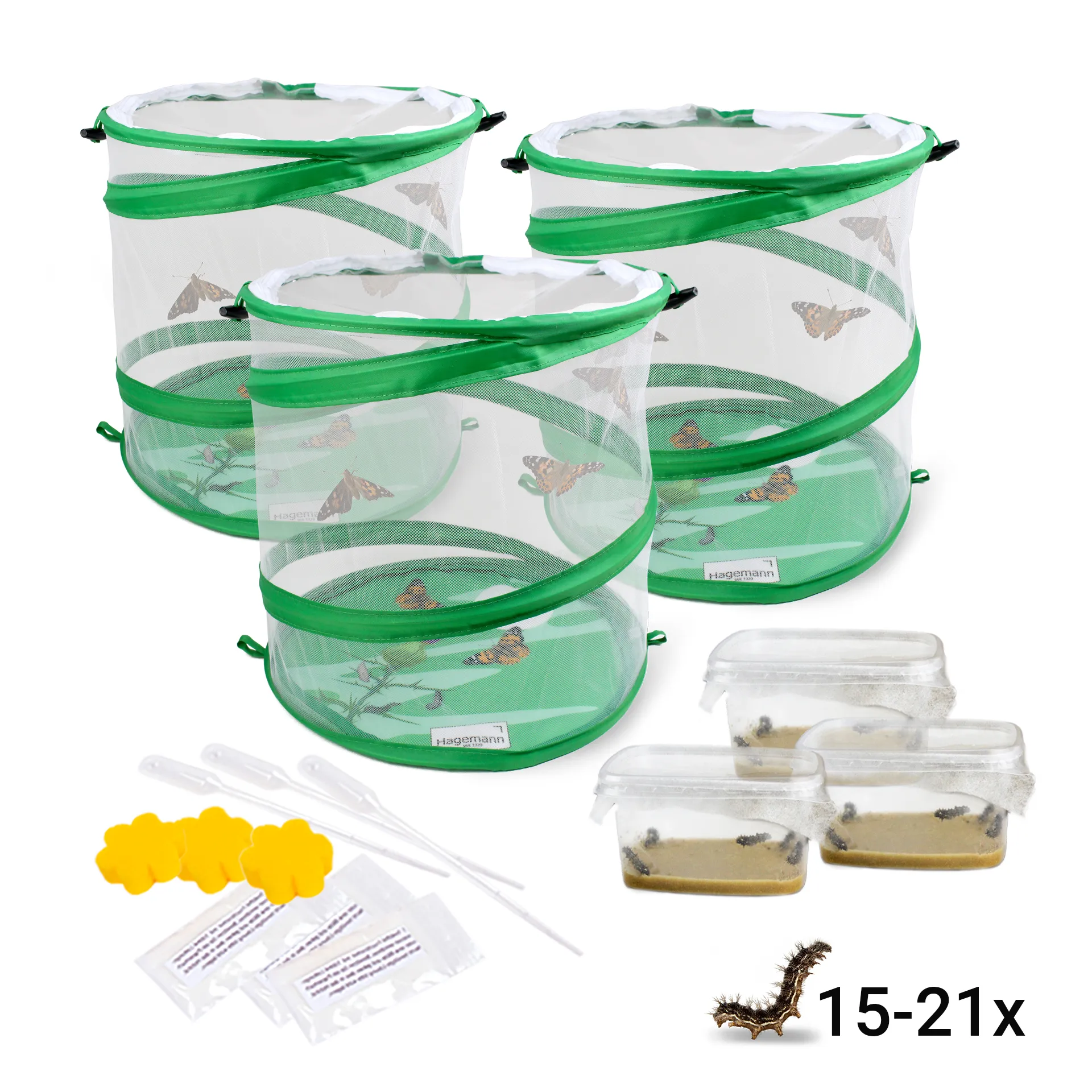 Gruppen-Projektset "Schmetterlinge", Starter-Set, 13-tlg.