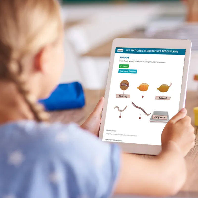 Lebenszyklus und Leben "Regenwurm", magnetisch, 24-tlg.