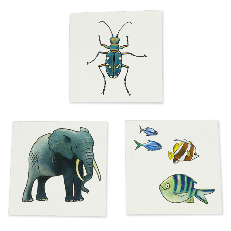 Cutiuța cu imagini "Vocabular" - animale, plante, natură