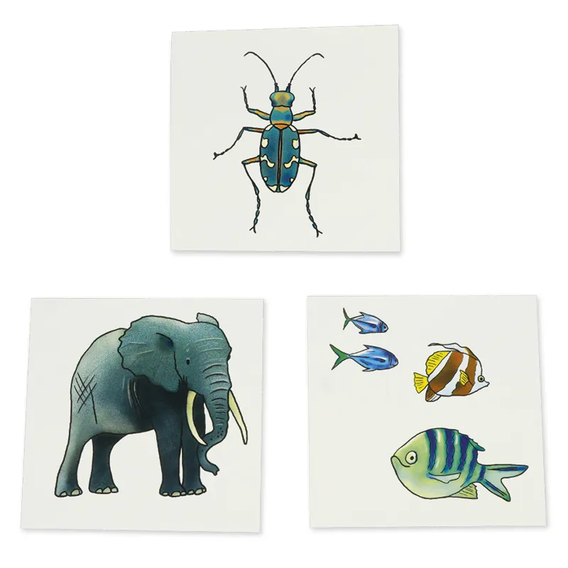 Cutiuța cu imagini "Vocabular" - animale, plante, natură