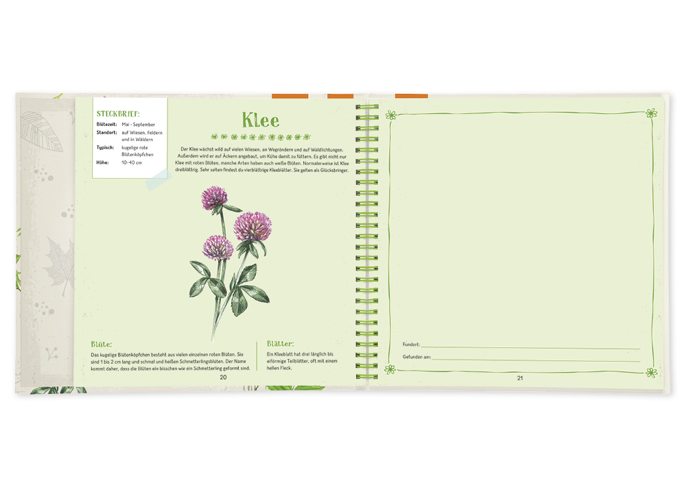Buch "Blätter & Blüten sammeln", 64 Seiten