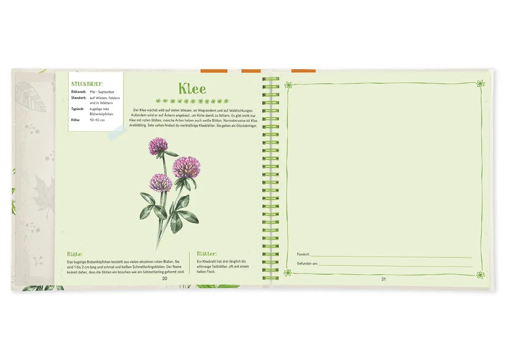 Buch "Blätter & Blüten sammeln", 64 Seiten