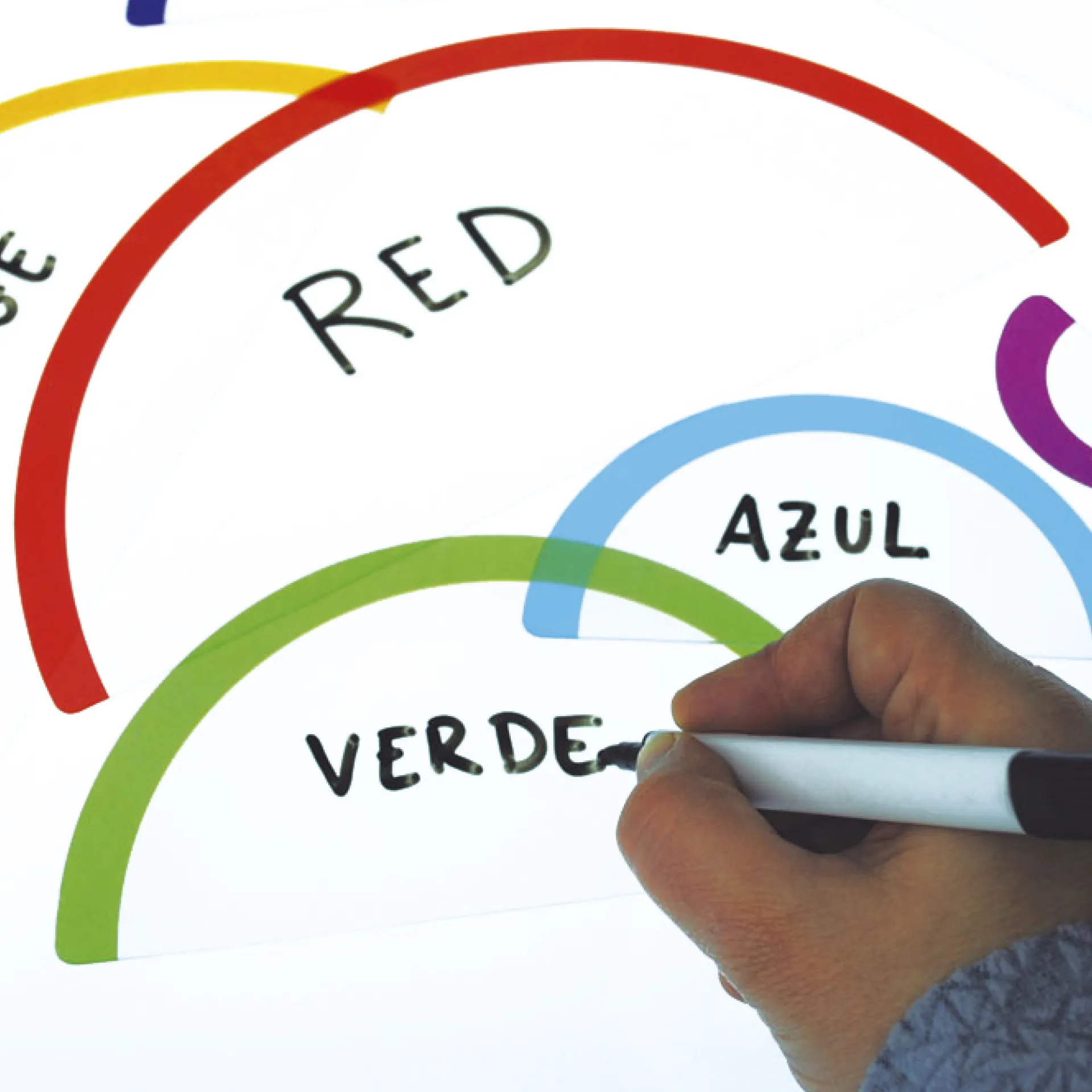 Regenbogen für die Leuchtplatte, 24-tlg.