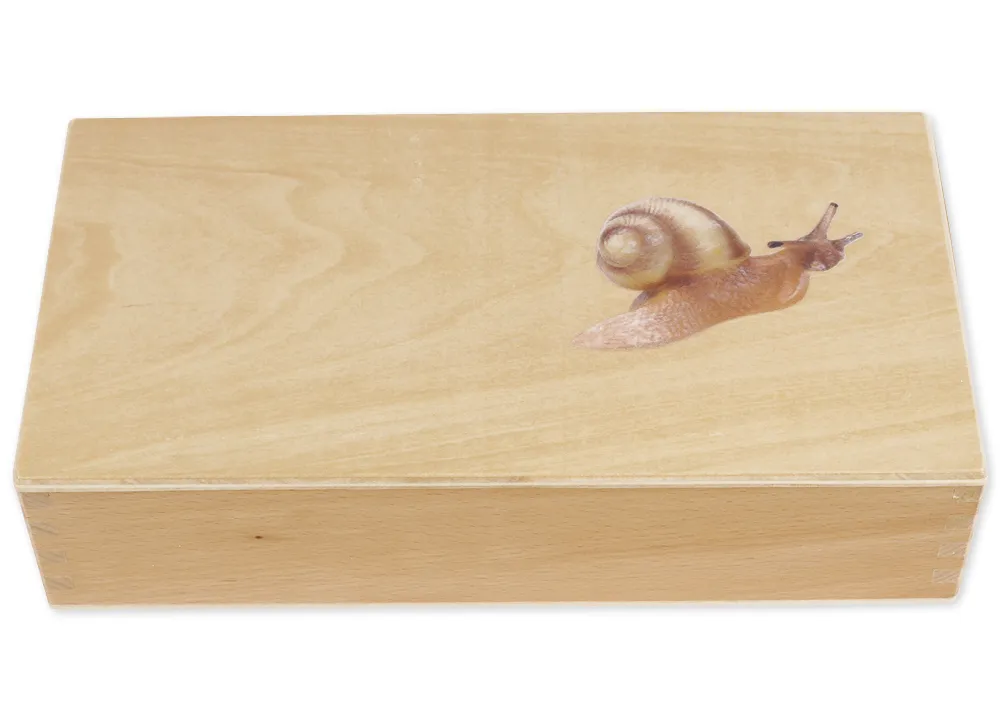 TimeTEX Lebenszyklus einer Schnecke, in Holzbox "Montessori Premium"