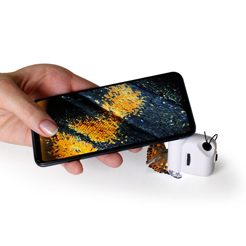Mini-Mikroskop 2in1