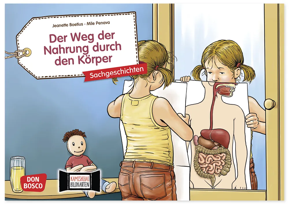 Bildergeschichten-Karten "Der Weg der Nahrung durch den Körper", 12-tlg.