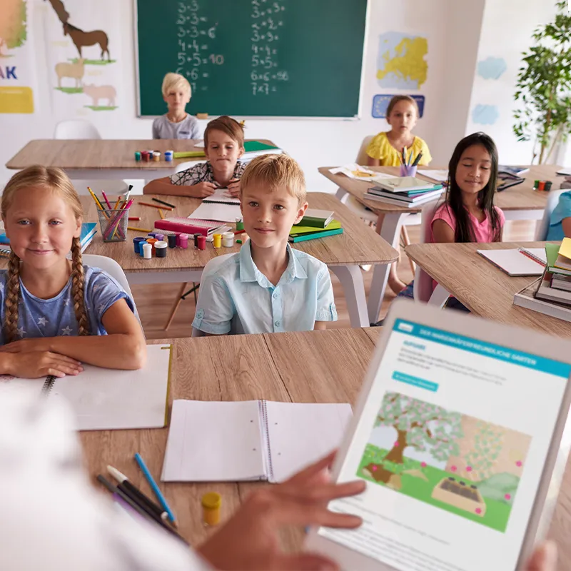 Gruppen-Projektset "Marienkäfer", 9-tlg.