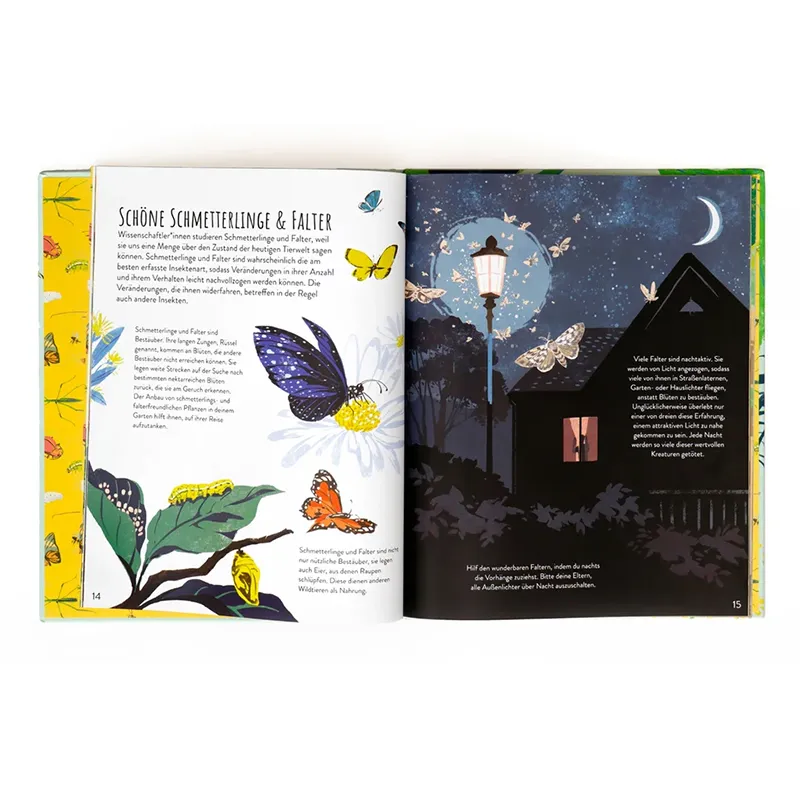 Buch "Insekten retten die Welt", 48 Seiten