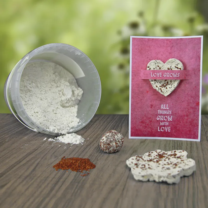 Bastelset "Blühendes Papiermaché"