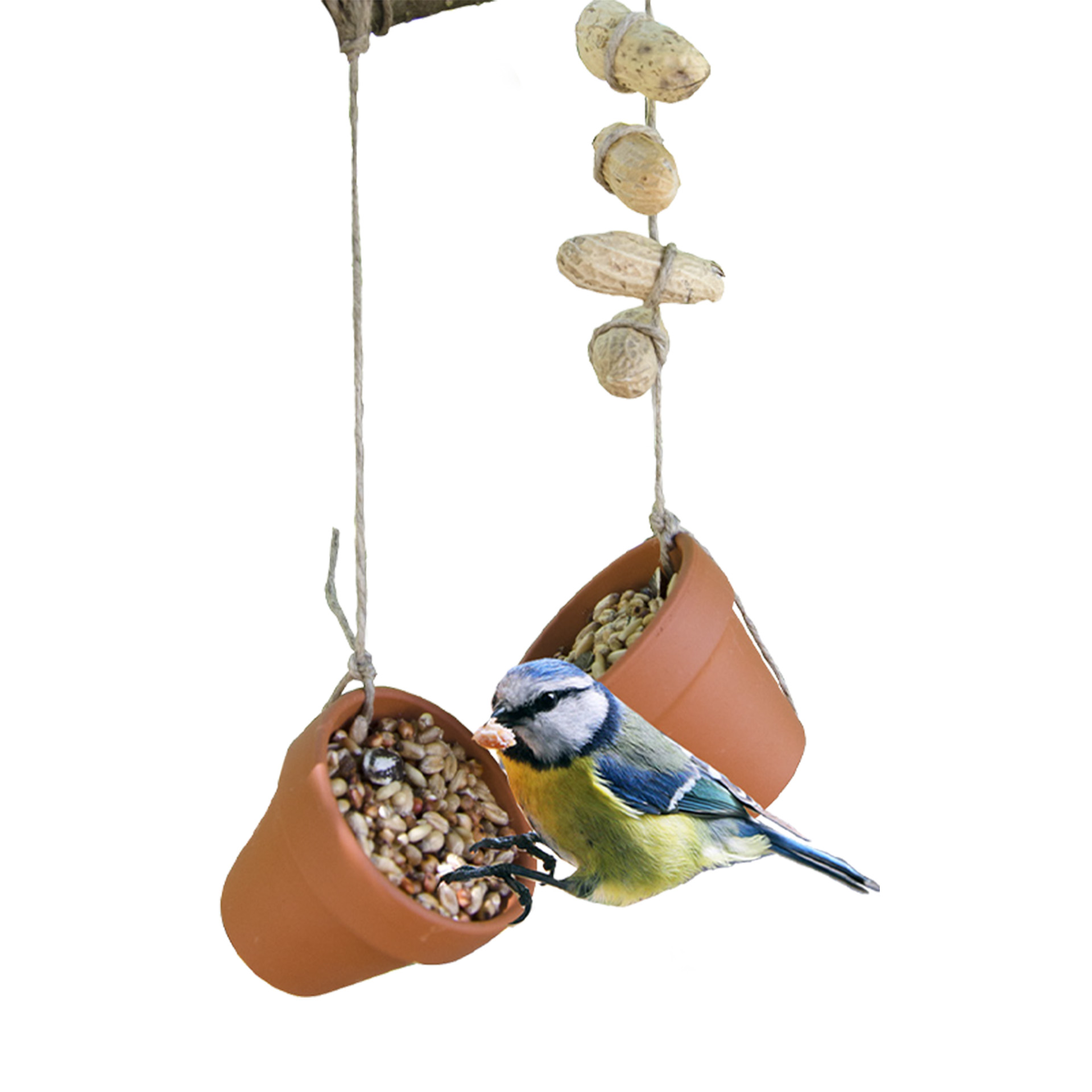 Bastelset "Vogelfutter", Klassensatz, 44-tlg.