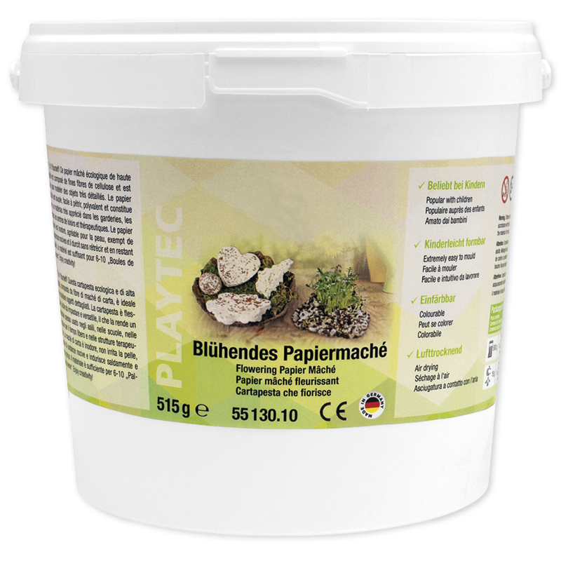 TimeTEX Bastelset "Blühendes Papiermaché"