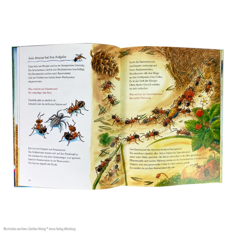 Buch "Wie leben die kleinen Waldameisen?", 32 Seiten