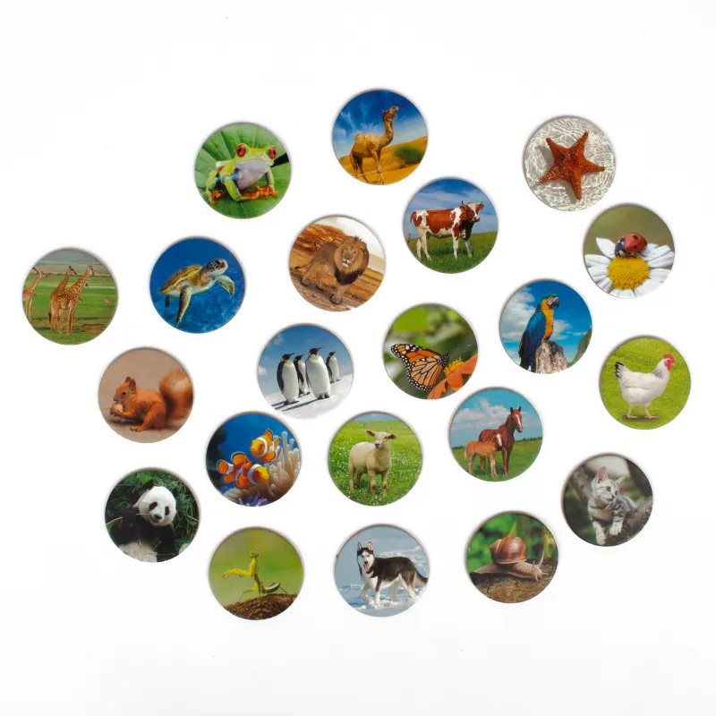 Lernspiel "Tierwelten entdecken und klassifizieren", 92-tlg.