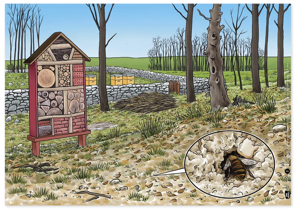 Bildergeschichten-Karten "Von fleißigen Bienen und leckerem Honig", 12-tlg.