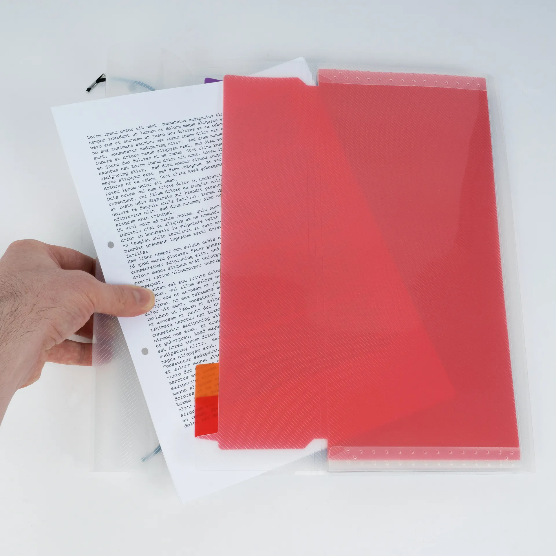 TimeTEX Fächermappe A4-Plus, transparent farbig TimeTEX Fächermappe A4-Plus, transparent farbig