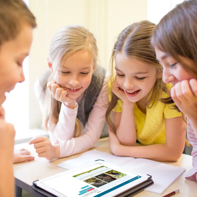 Zuchtset "Asseln", 10-tlg.