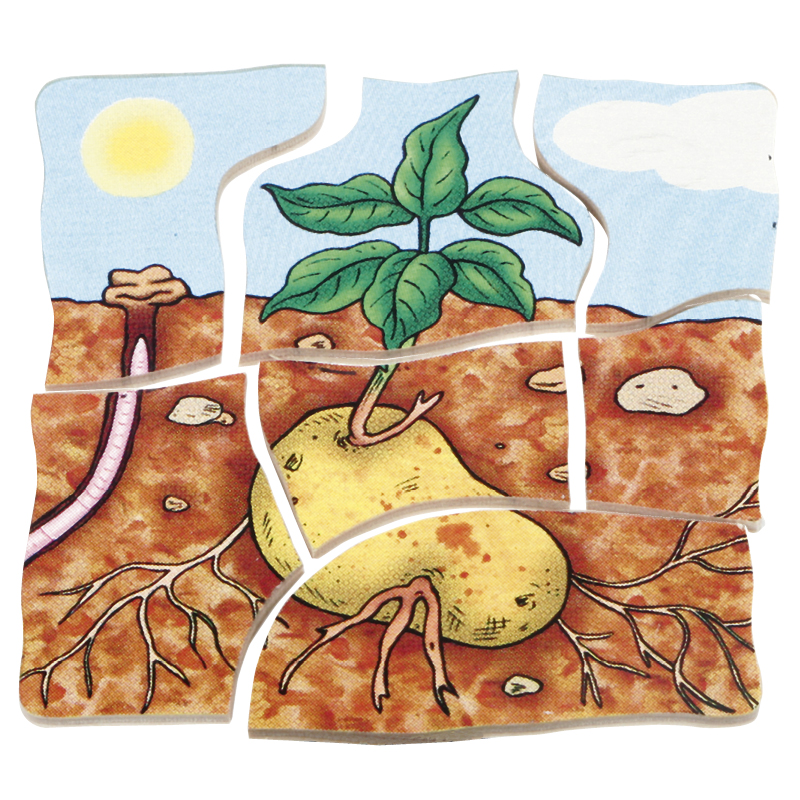 beleduc Lagerpussel "Potatis", 30 bitar