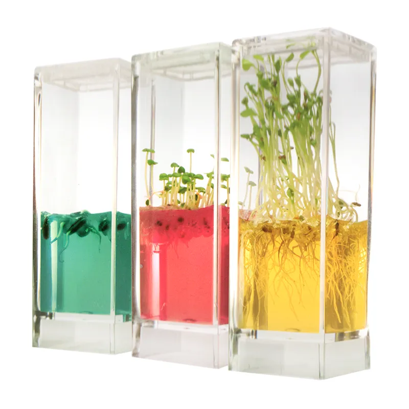 Beobachtungs-Set "Pflanzen-Keimstation", 13-tlg.