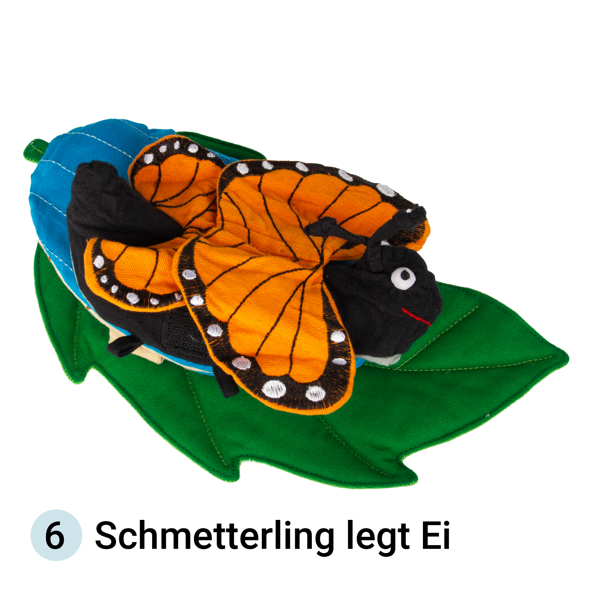 Levenscyclus vlinder, stoffen model, 3-delig