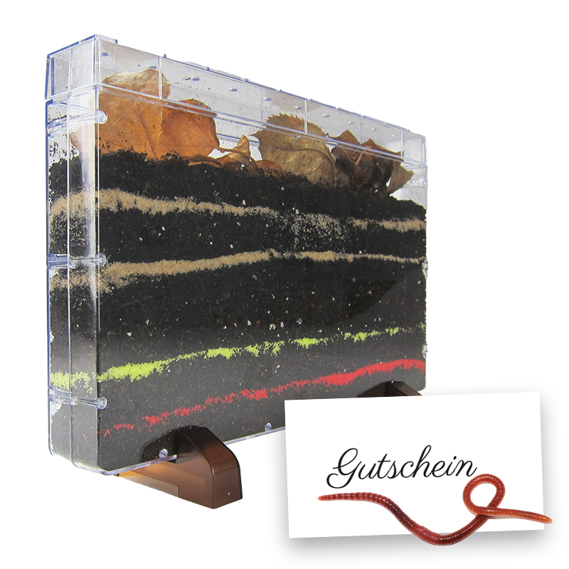 Gutschein-Set "Regenwürmer", 5-tlg.