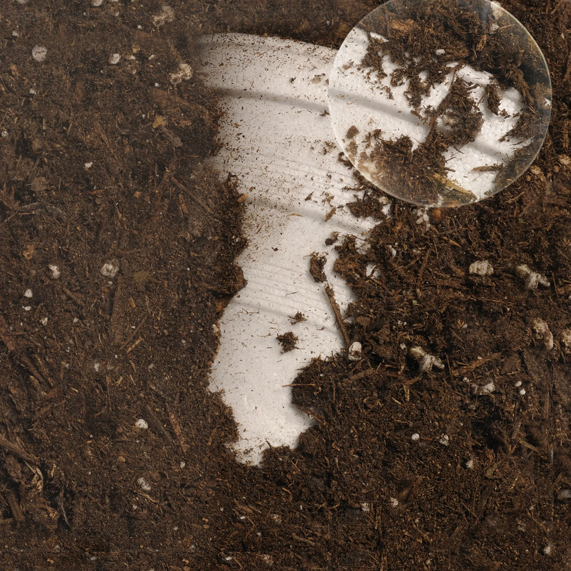 Beobachtungs-Set "Kompost", 4-tlg.