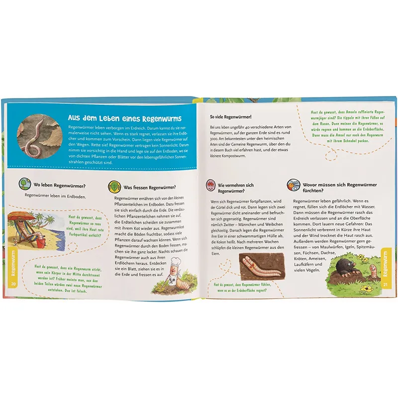 Buch "Mein erstes Becherlupen-Buch", 48 Seiten