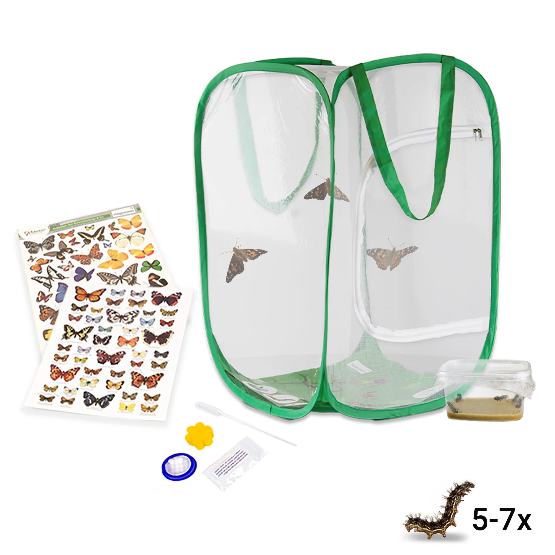 Zuchtset "Schmetterlinge", kompakt mit XXL-Voliere, 7-tlg.