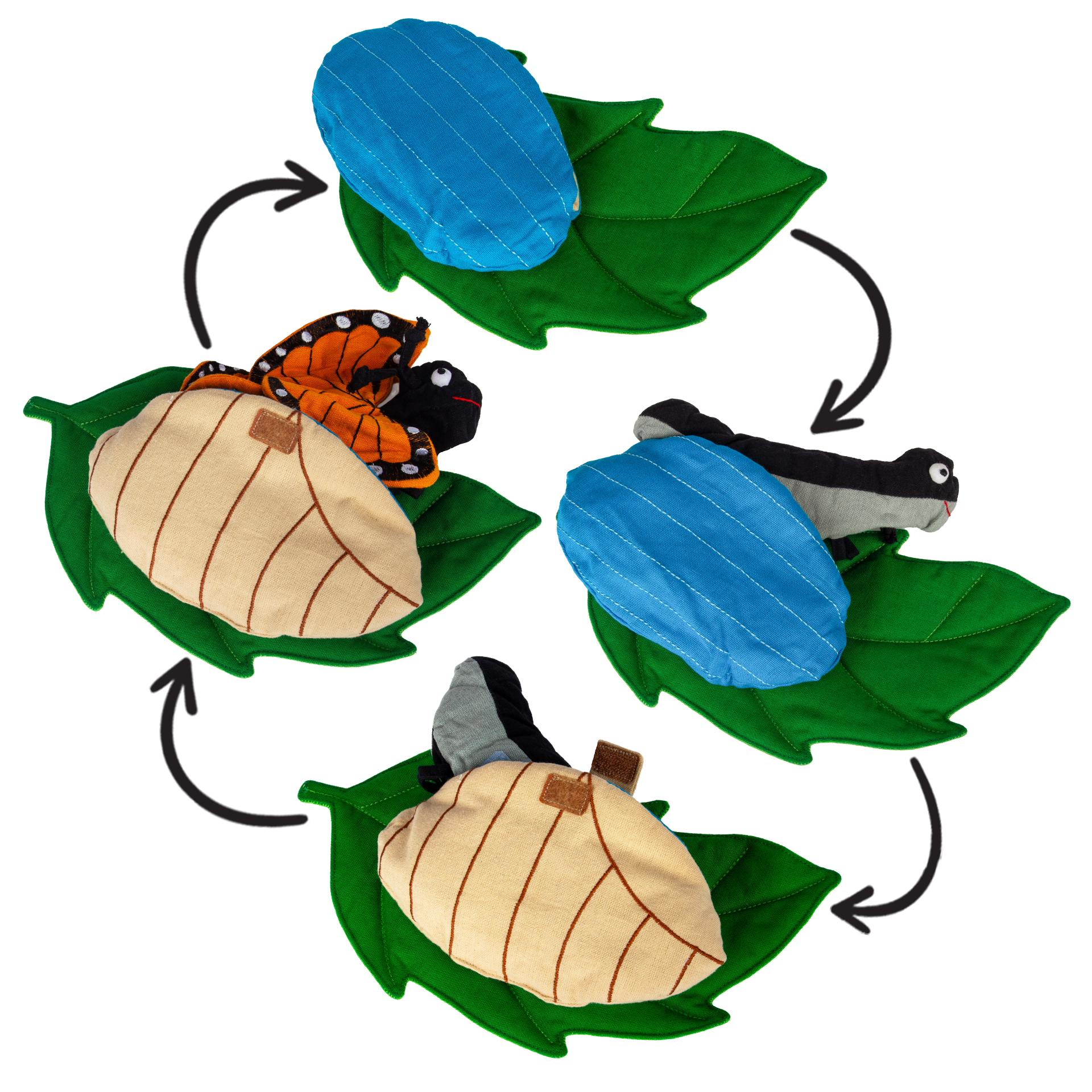 Levenscyclus vlinder, stoffen model, 3-delig