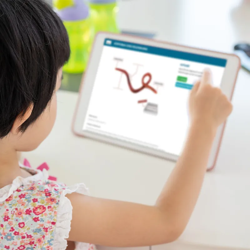 Beobachtungs-Set "Regenwürmer", 8-tlg.