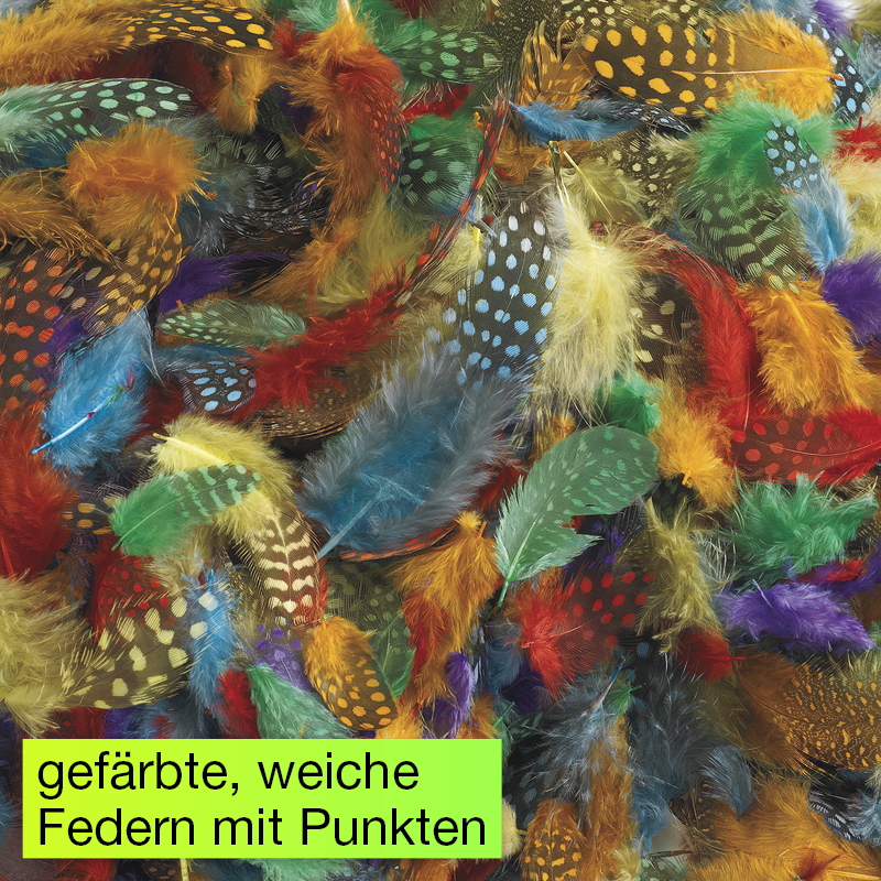 Gepunktete Federn, 30 g