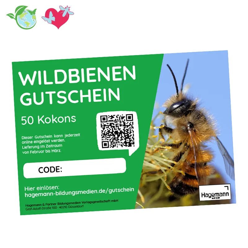 Nachbestell-Gutschein Wildbienen, Rote Mauerbiene, für 50 Kokons
