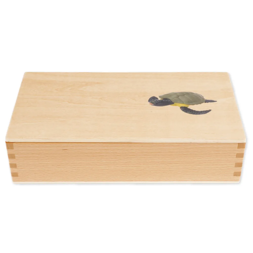 TimeTEX - Ciclul de viață la broaștele țestoase, în cutie din lemn "Montessori Premium"