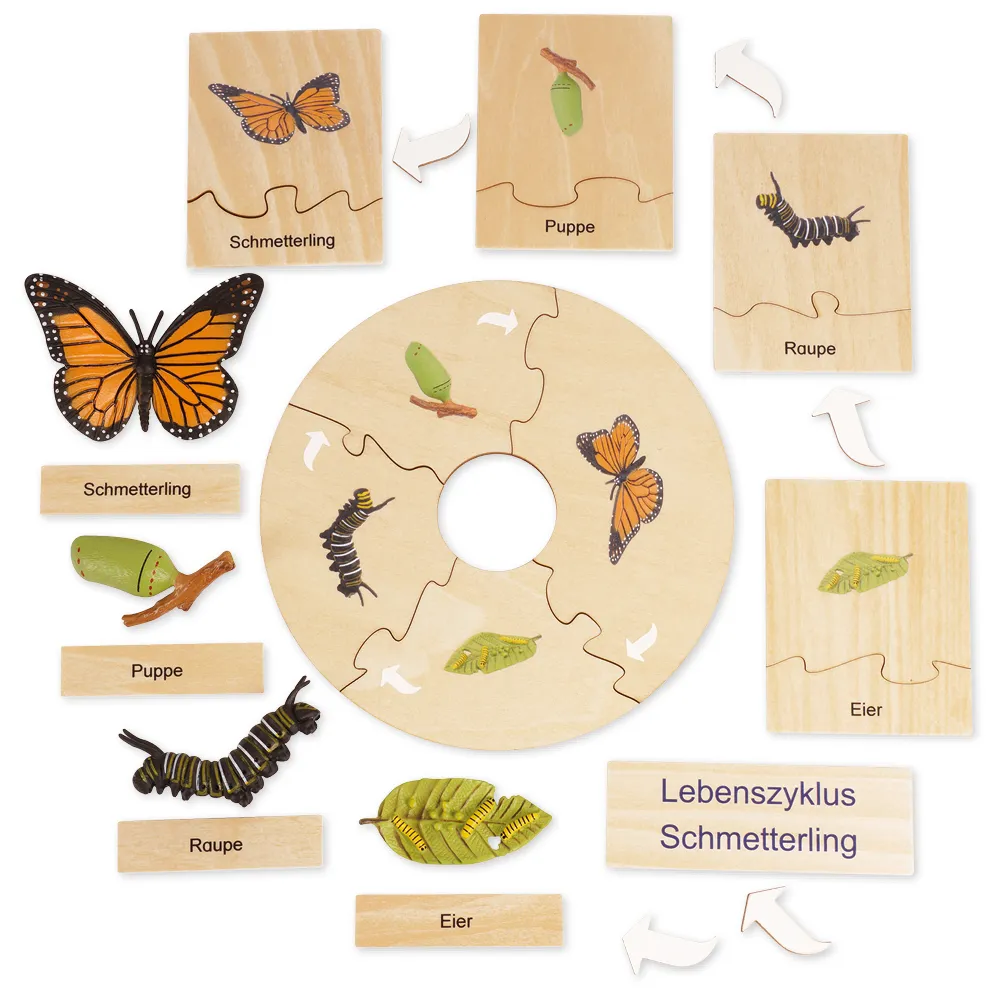 TimeTEX livscykel för en fjäril, i trälåda "Montessori Premium"