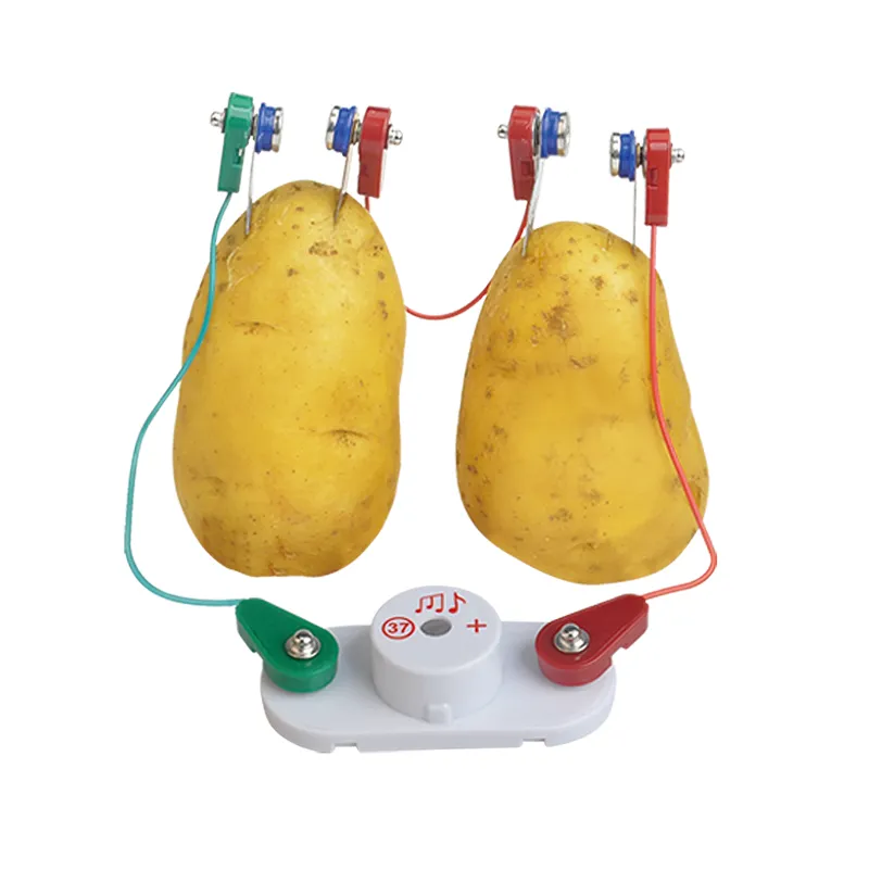 Experimentier-Set "Zitronen-Batterie", 19-tlg.