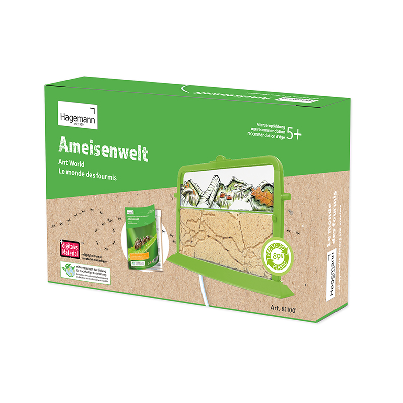 Zuchtset "Ameisen", 4-tlg.