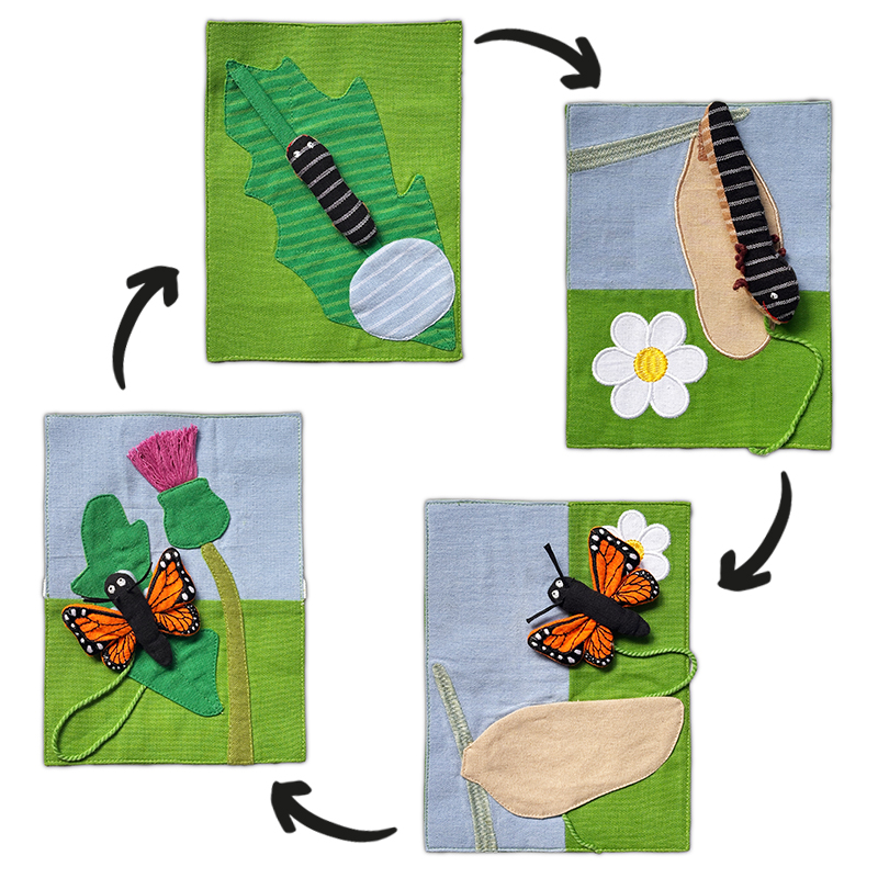 Stoff-Karten "Lebenszyklus Schmetterling", 4-tlg.