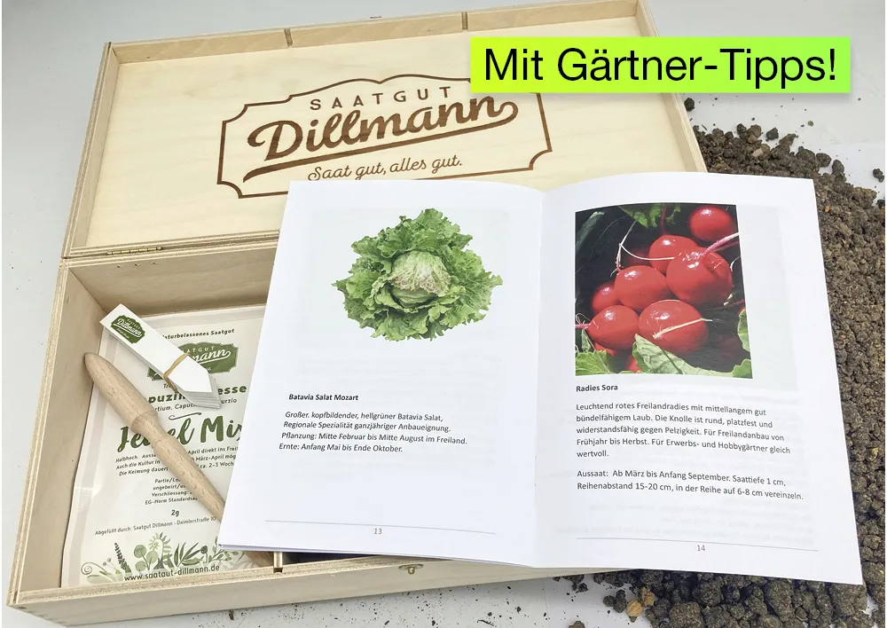 Saatgut-Box "Gartenbox für Kinder", Set 2, 65-tlg.