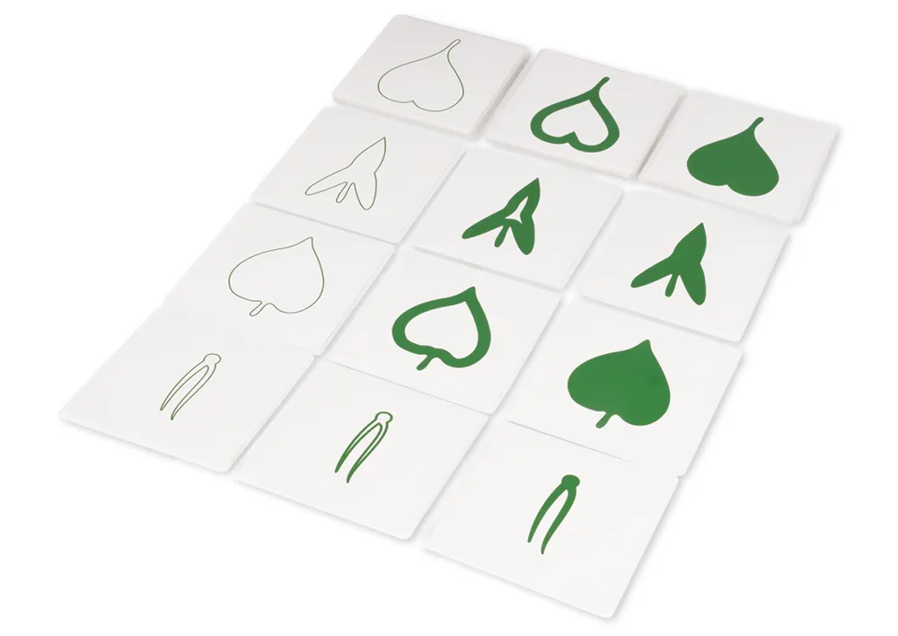 TimeTEX botanisk kortsæt "Montessori Premium"