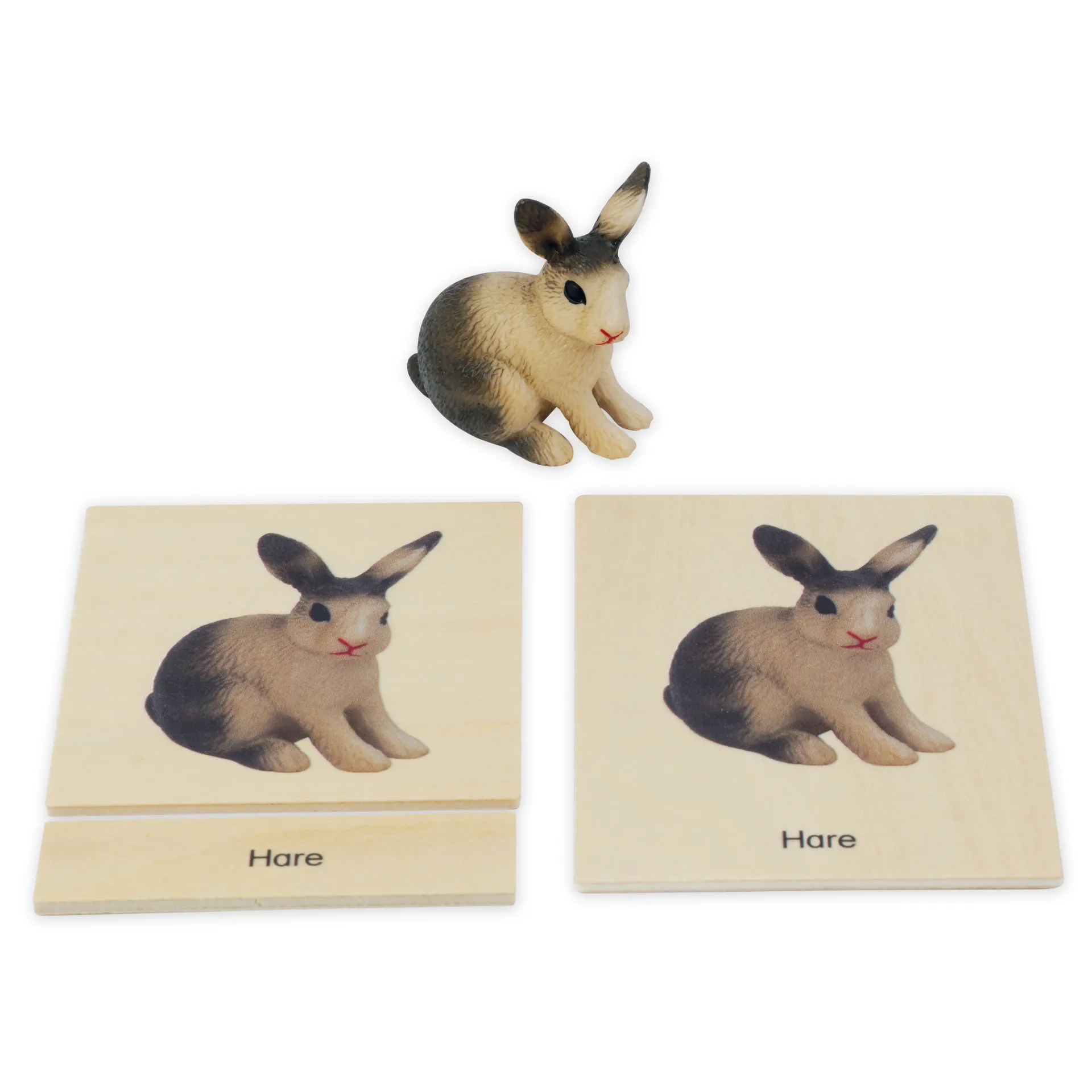 TimeTEX Mini-Tiere-Set Europa "Montessori Premium"