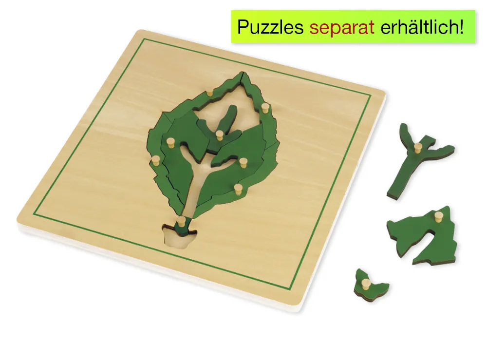 TimeTEX - Cutie cu 3 compartimente, pentru puzzle-urile botanice "Montessori Premium"