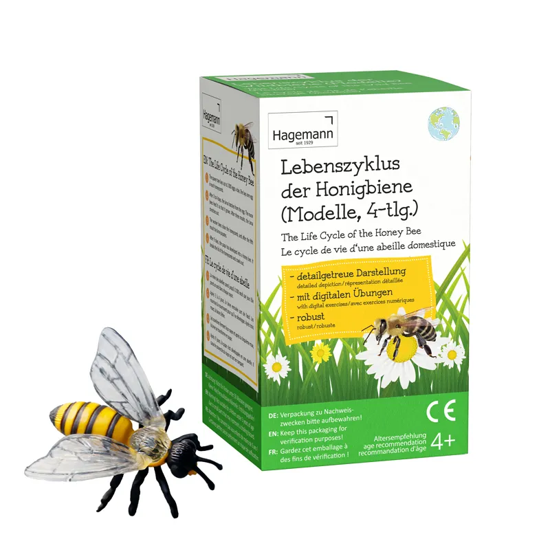 Lebenszyklus-Modell "Honigbiene", 4-tlg.