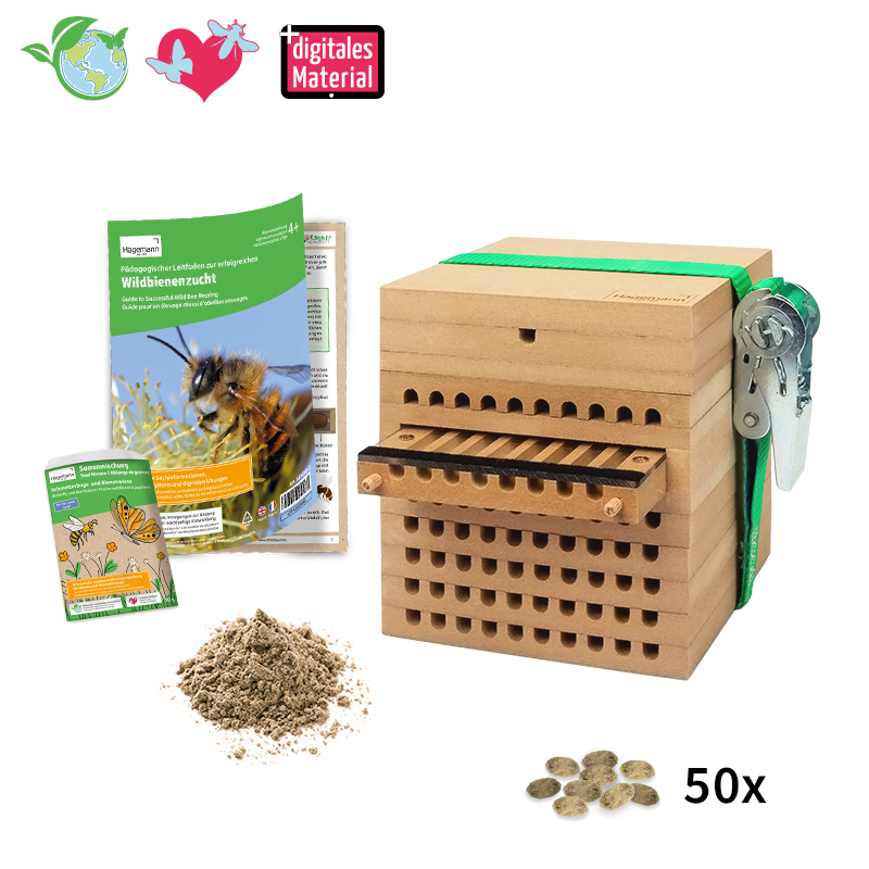 Zuchtset "Wildbienen mit Kokons", Rote Mauerbiene, 5-tlg.