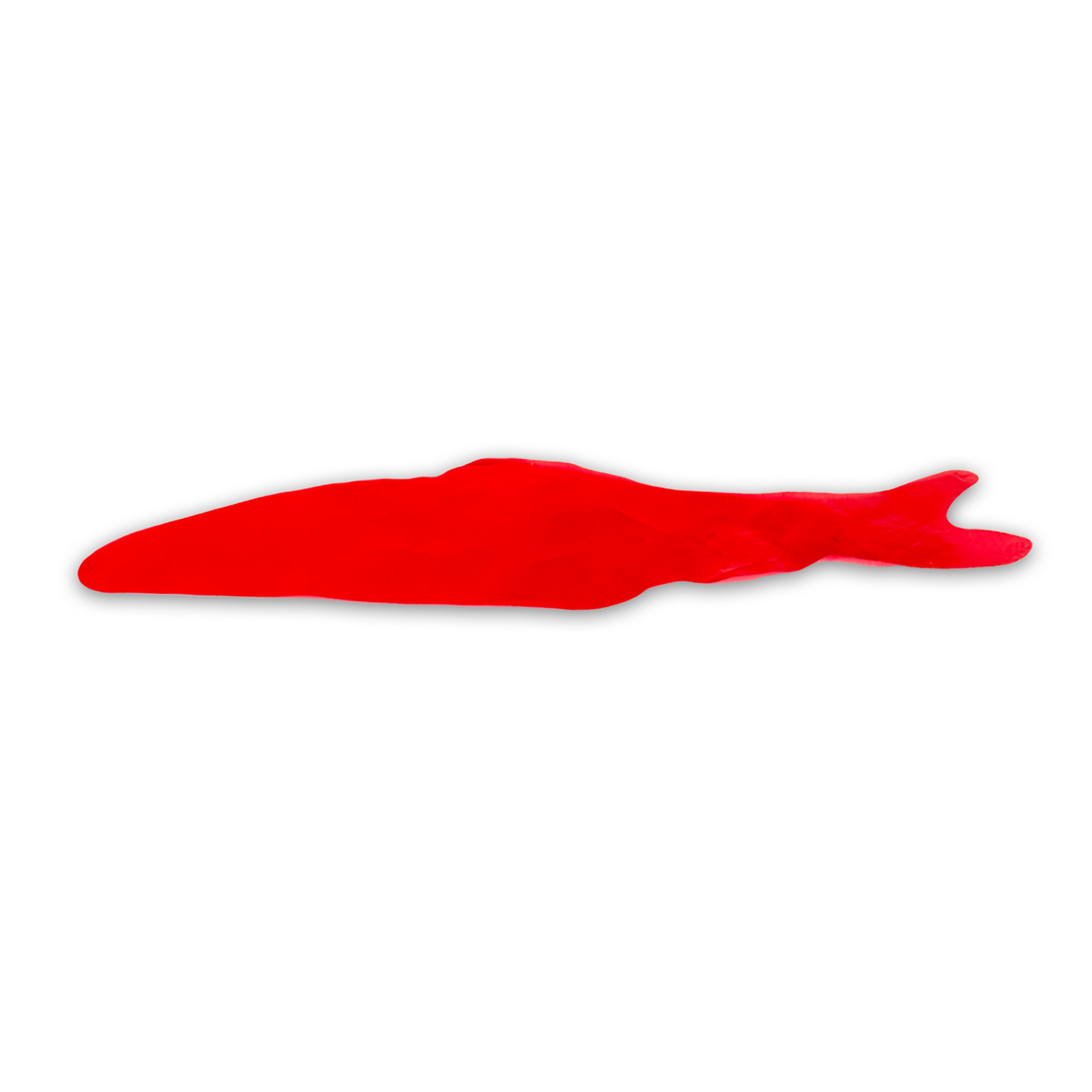 Wunderfisch Wunderfisch