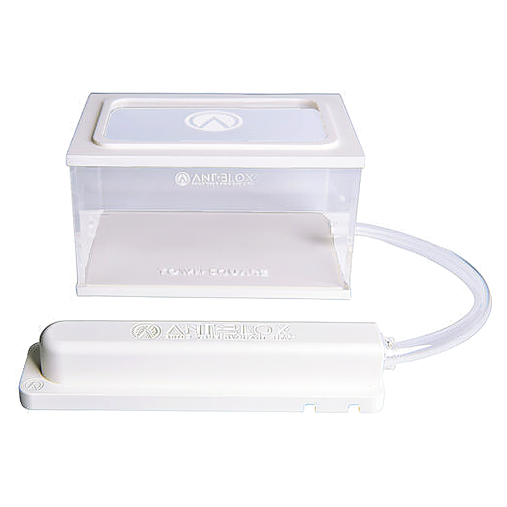 Ameisen-Formicarium aus Kunststoff, mit Neststation und Arena