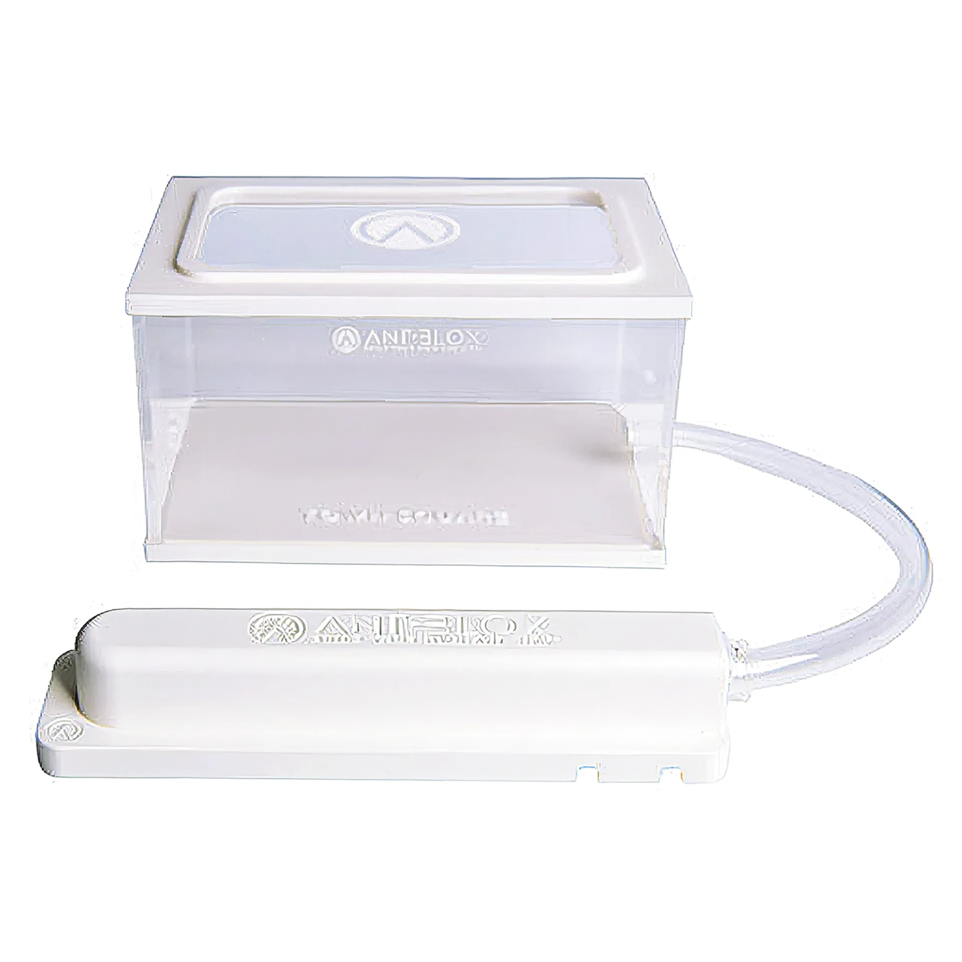 Ameisen-Formicarium aus Kunststoff, mit Neststation und Arena