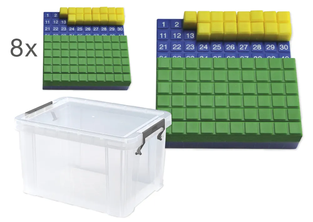 Klassensatz Hunderter-Steckplatte, 8-tlg., in Box