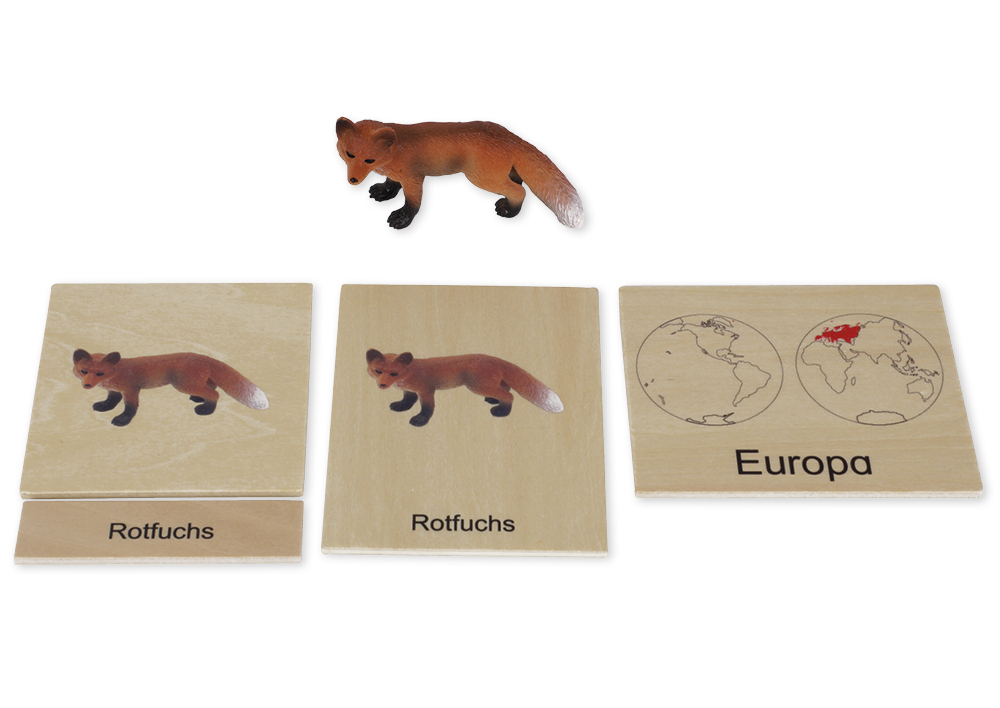 TimeTEX Tier-Kontinent-Box "Montessori Premium"