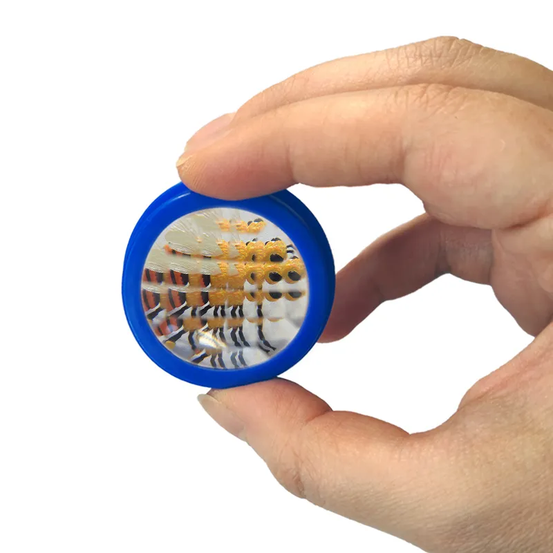 Zuchtset "Schmetterlinge", kompakt, 7-tlg.